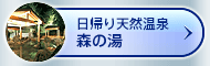 リンク：日帰り天然温泉森の湯